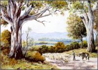 George Phillips - Australian Bush